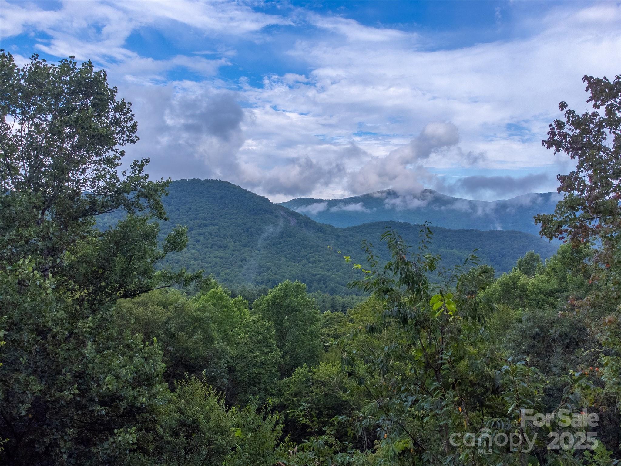 1838 Coman Road Franklin, NC 28734 - Photo 9 of 48 an aerial view of houses covered in trees