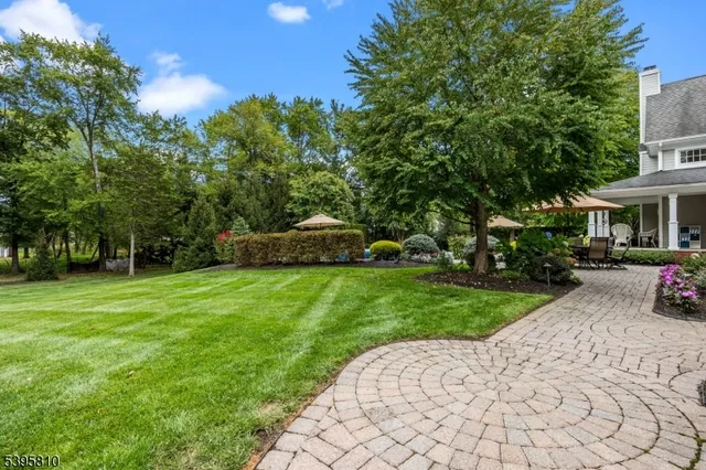 a view of a park with plants and trees