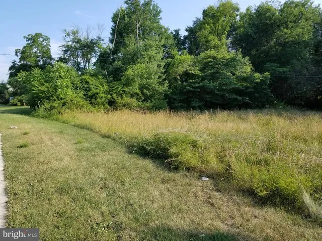 a view of a yard with plants in front of lake