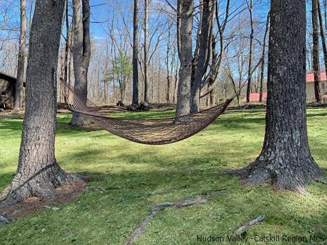 9 Fox Den Road Saugerties, NY 12477 - Photo 17 of 20 Photo 17