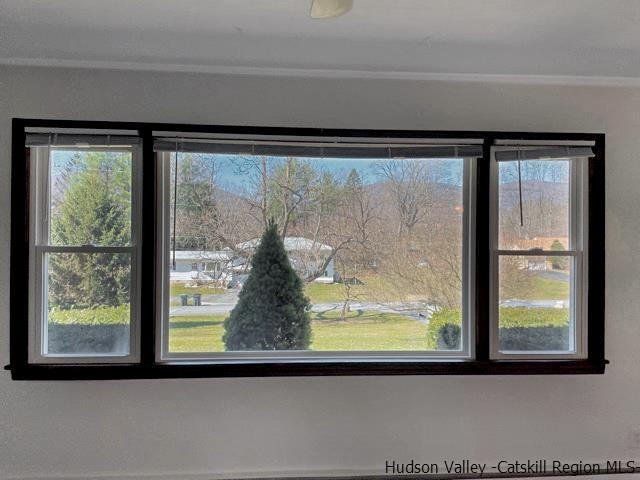 9 Fox Den Road Saugerties, NY 12477 - Photo 3 of 20 Photo 3