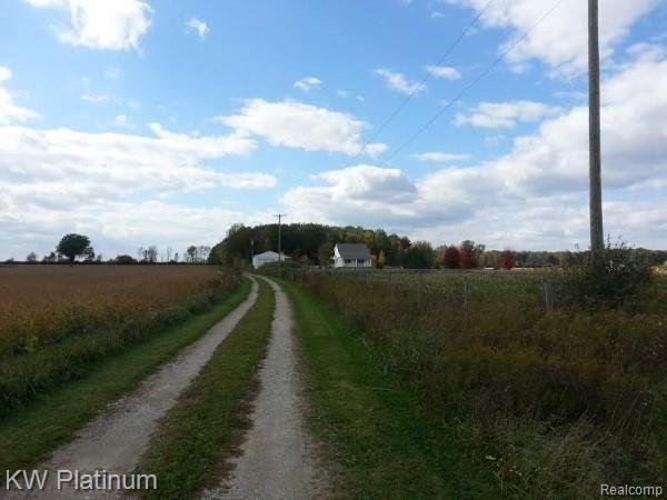 5261 Cribbins Road Avoca, MI 48006 - Photo 13 of 35 NICE PRIVATE DRIVEWAY
