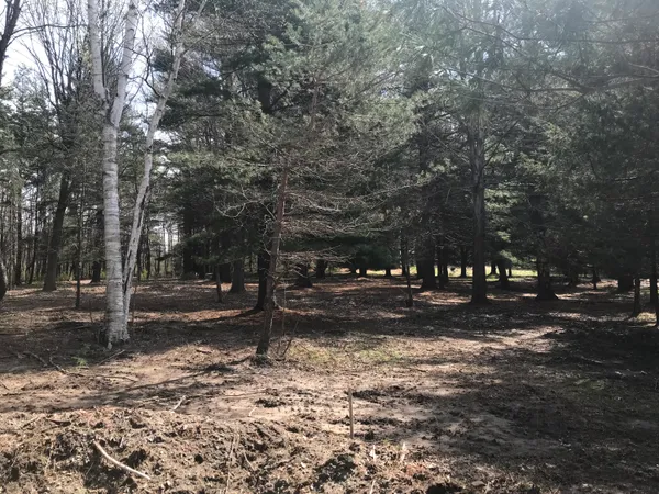 $200,000 | 7087 Creekwood Drive, South Haven, MI 49090