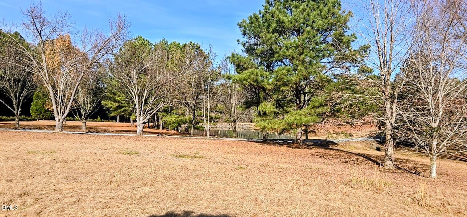 2355 Smith Road Four Oaks, NC 27524 - Photo 28 of 30 Front Yard