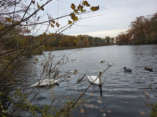 $689,900 | 78 Cushing Road, Malden, MA 02148