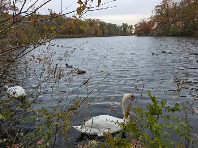 $689,900 | 78 Cushing Road, Malden, MA 02148