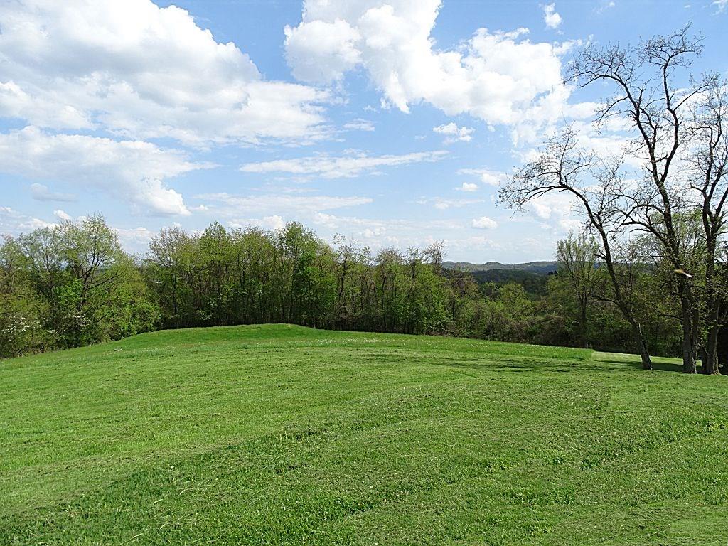 776 Amity Ridge Road Amity, PA 15311 - Photo 22 of 25 Plenty of room to roam...