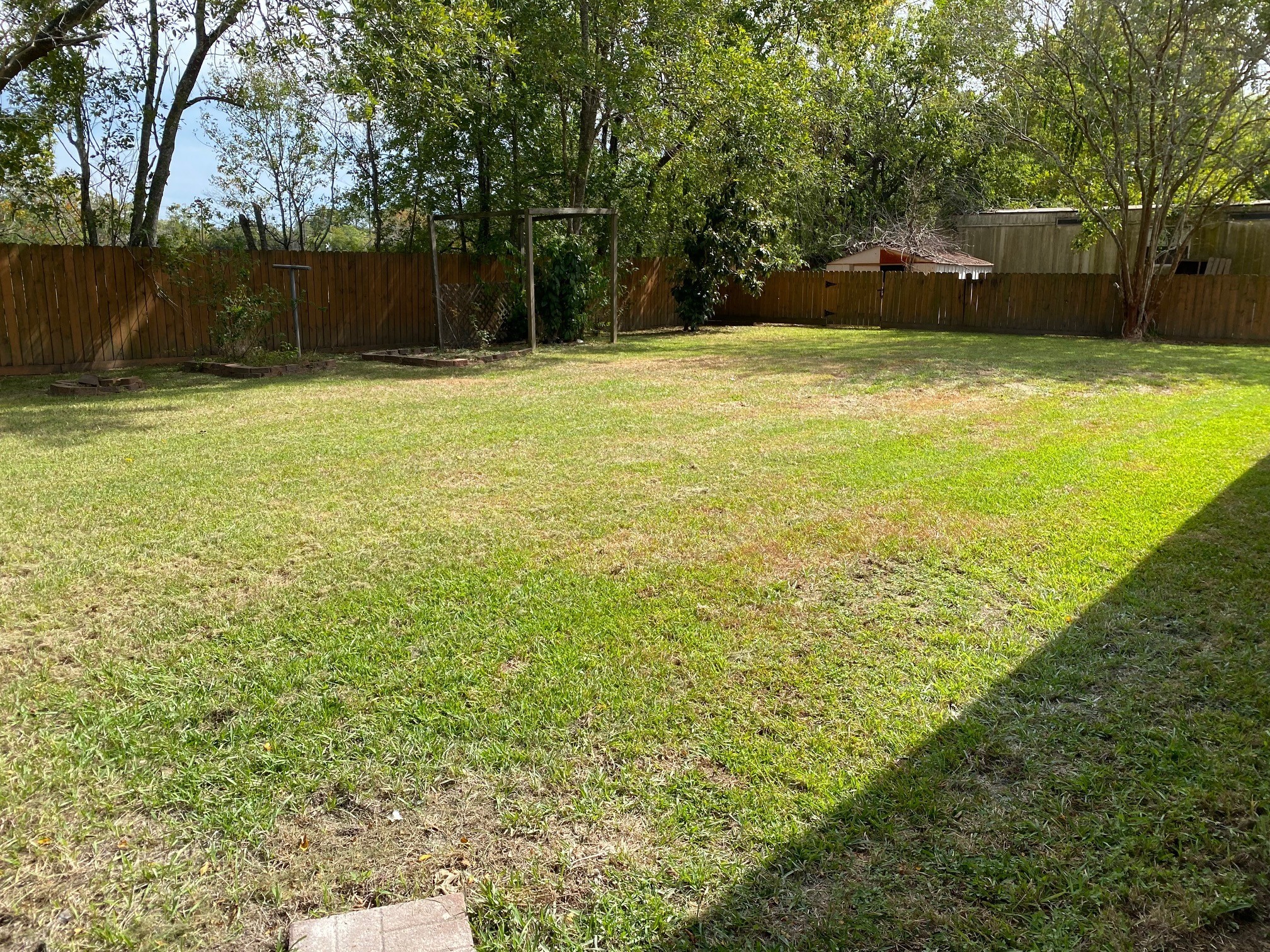 112 County Road 921 Angleton, TX 77515 - Photo 13 of 13 a view of a swimming pool with a yard and large trees