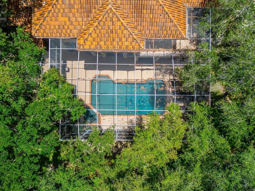 15707 Cochester Road Tampa, FL 33647 - Photo 10 of 95