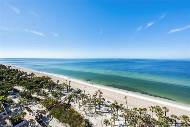 a view of a yard with plants and wooden fence