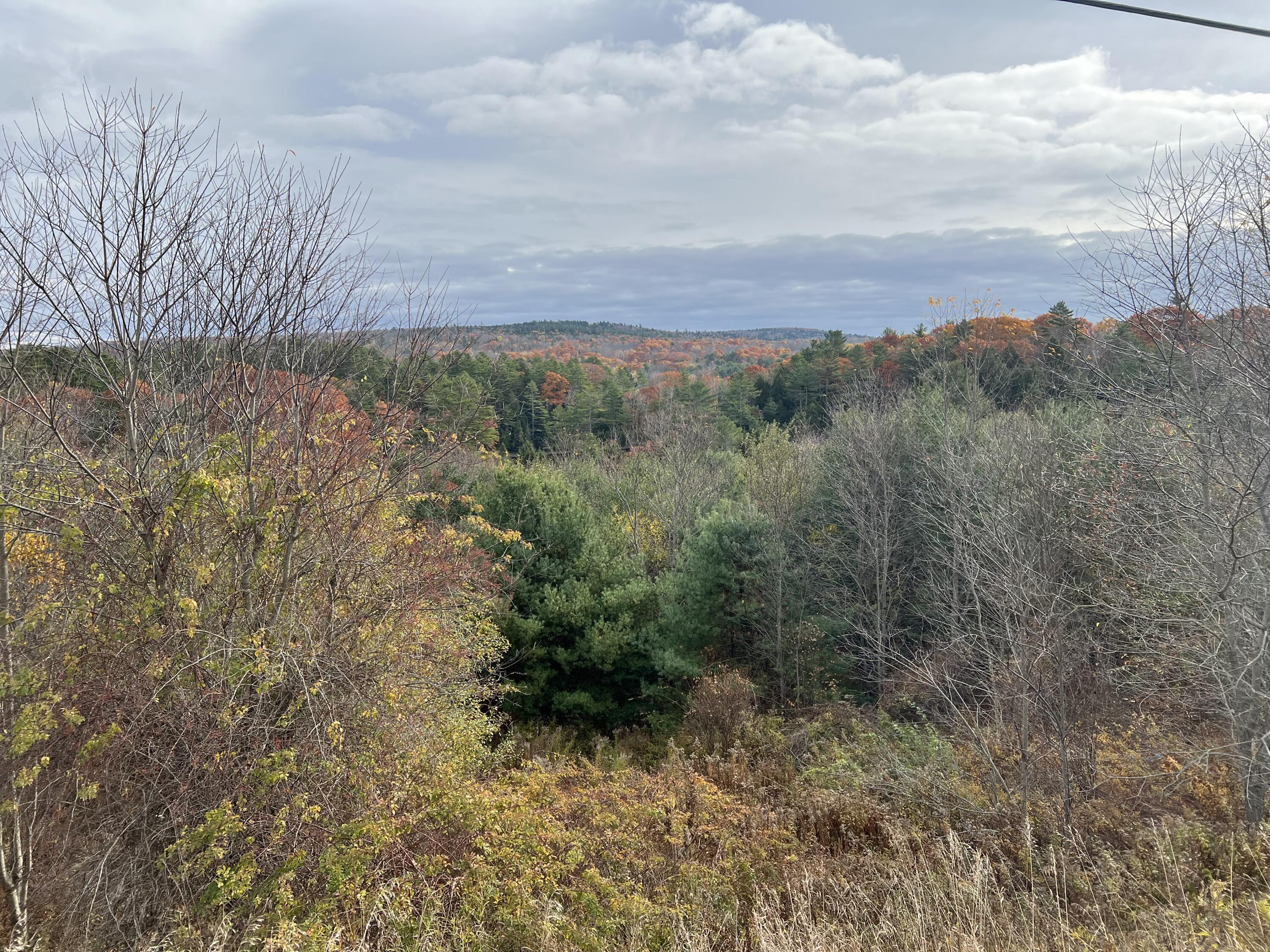 0 Bangor Road Prospect, ME 04981 - Photo 3 of 10 IMG_8020