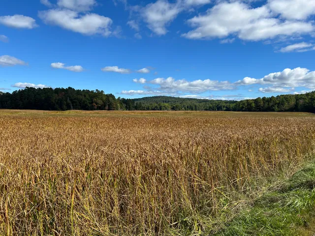 $100,000 | 0 Bangor Road, Prospect, ME 04981