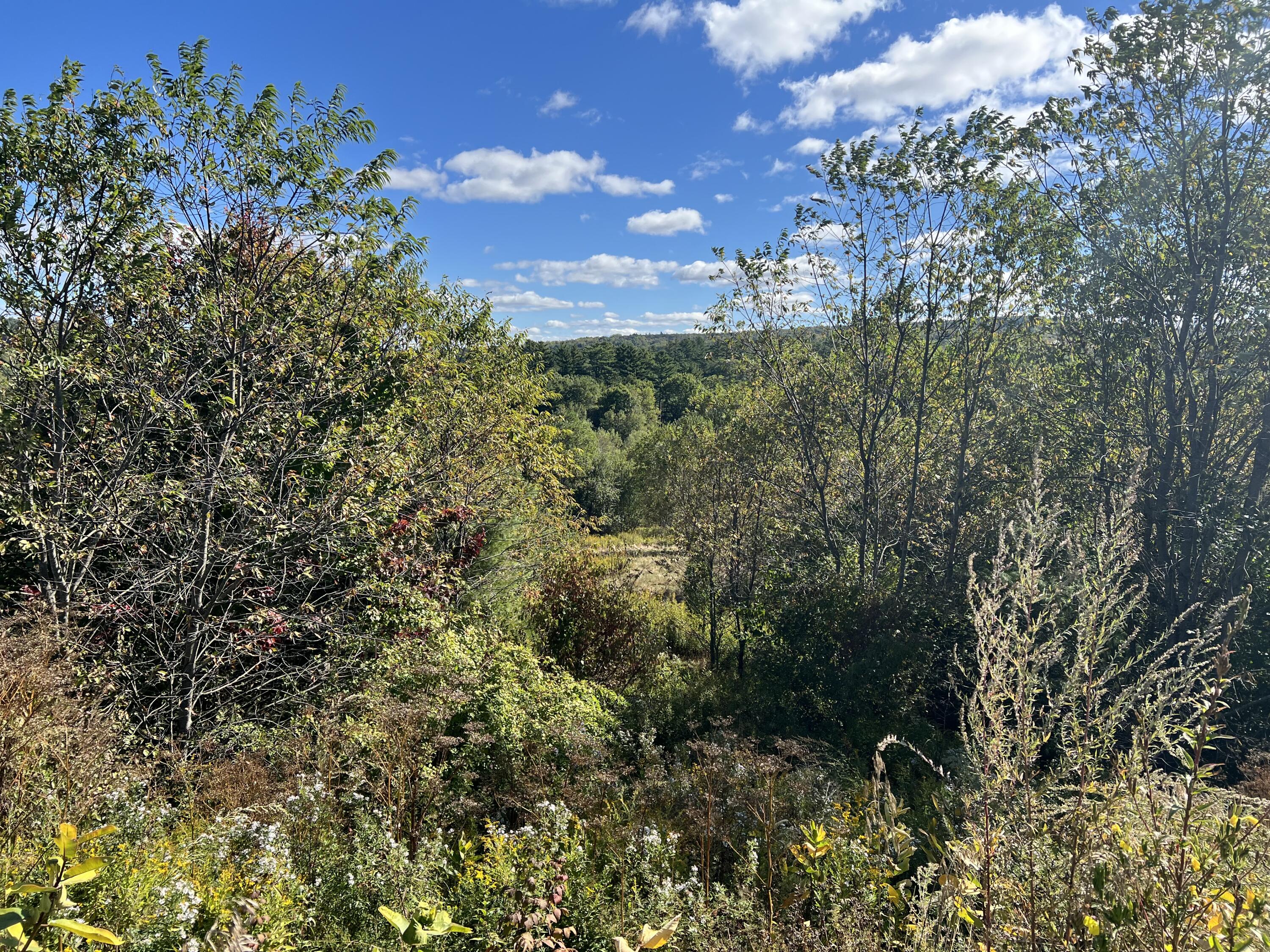 0 Bangor Road Prospect, ME 04981 - Photo 5 of 10 IMG_7908