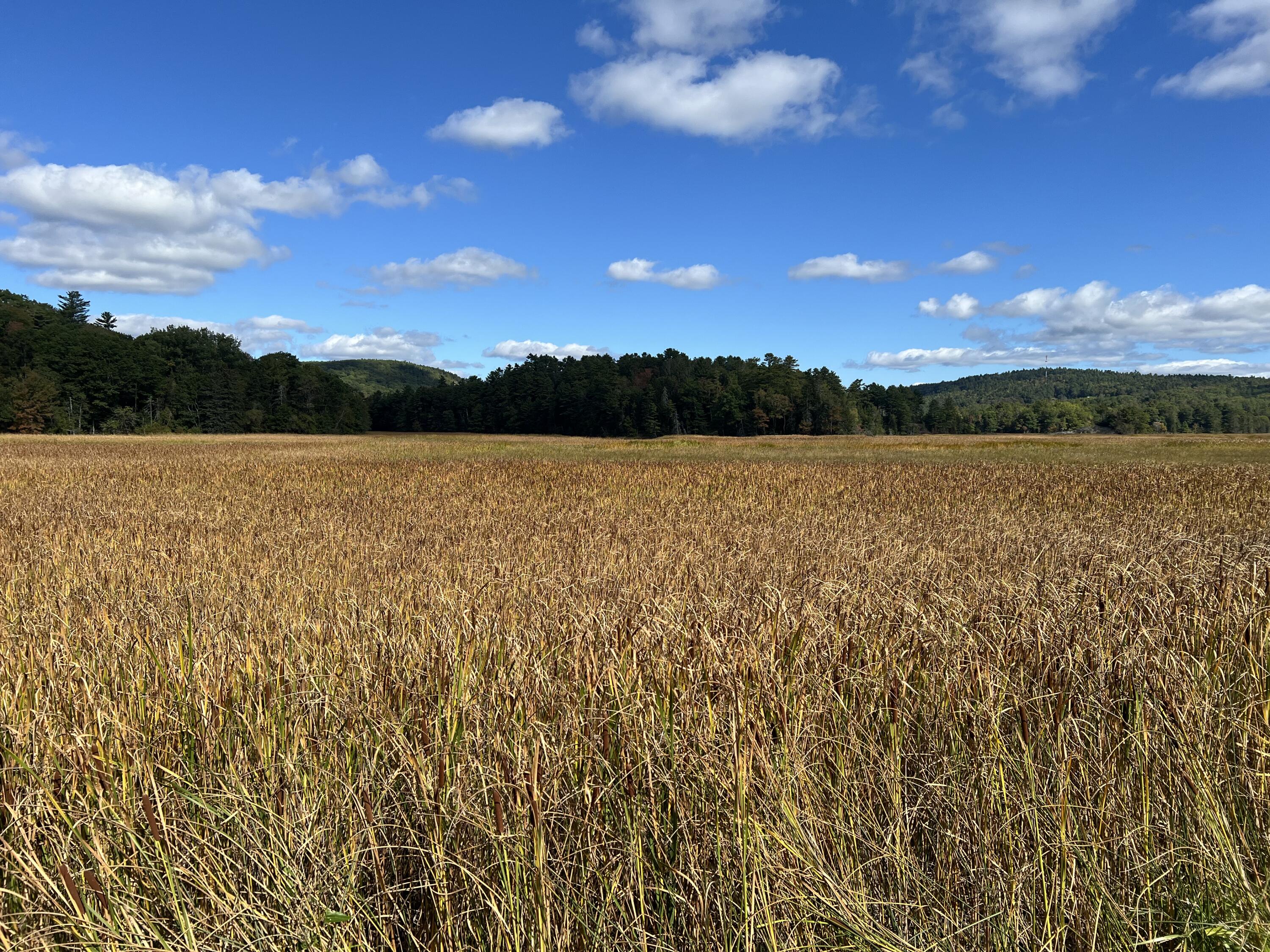0 Bangor Road Prospect, ME 04981 - Photo 6 of 10 IMG_7905
