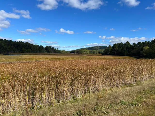 $100,000 | 0 Bangor Road, Prospect, ME 04981