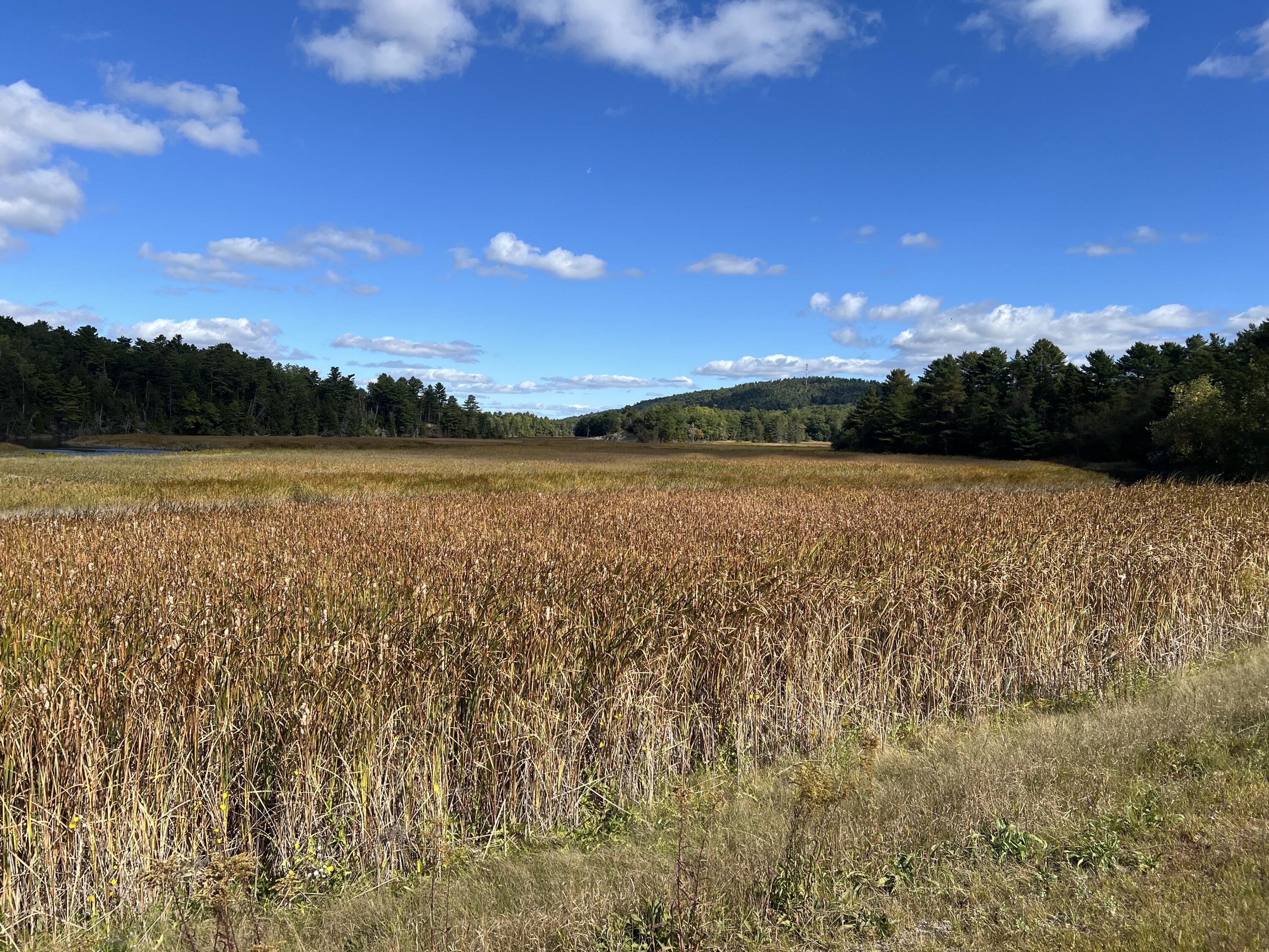 0 Bangor Road Prospect, ME 04981 - Photo 7 of 10 IMG_7906