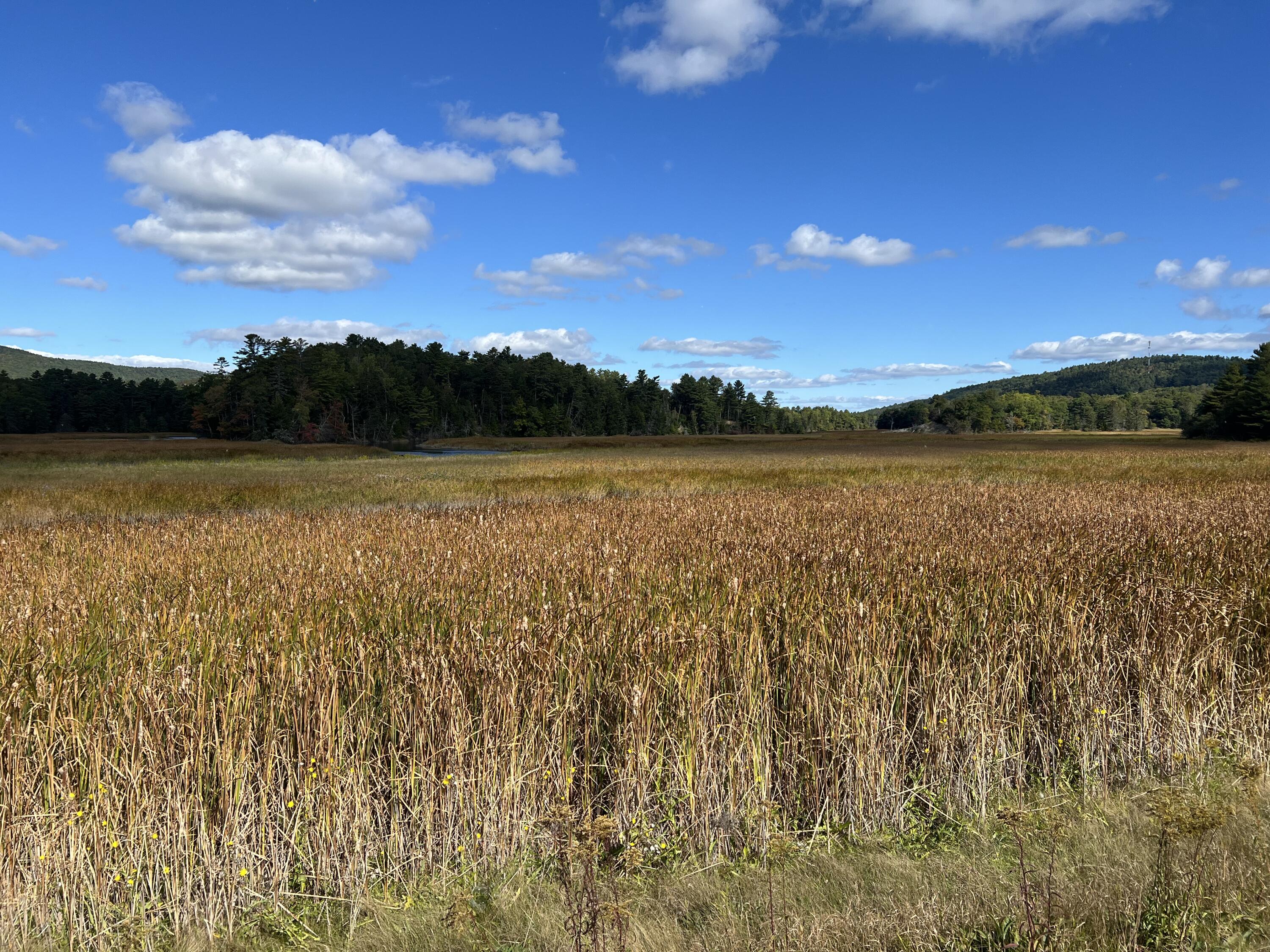 0 Bangor Road Prospect, ME 04981 - Photo 8 of 10 IMG_7907