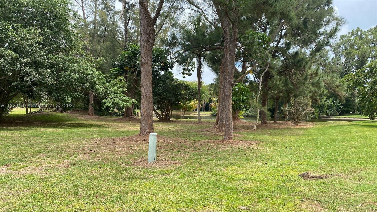 6017 Le Lac Road Boca Raton, FL 33496 - Photo 11 of 46 a view of a tree in a yard