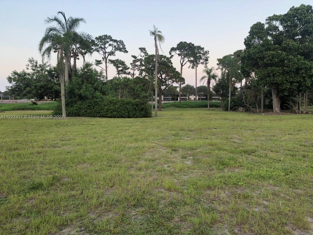 6017 Le Lac Road Boca Raton, FL 33496 - Photo 16 of 46 a view of a field with palm trees