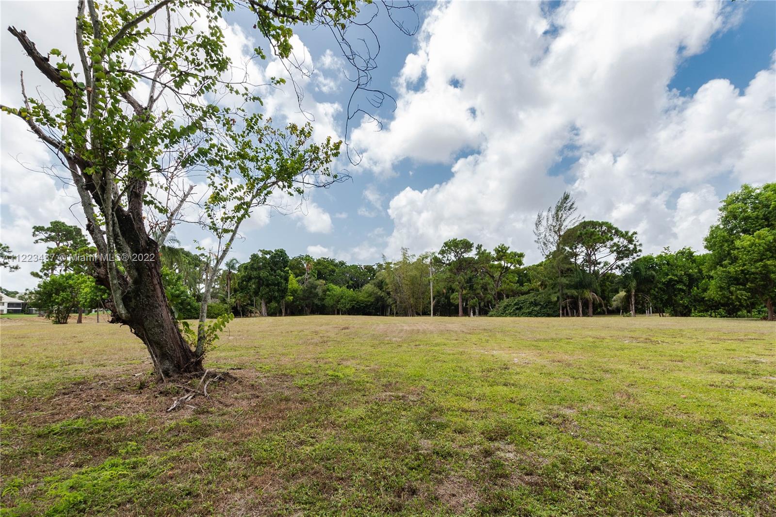 6017 Le Lac Road Boca Raton, FL 33496 - Photo 33 of 46 a view of a trees with a yard