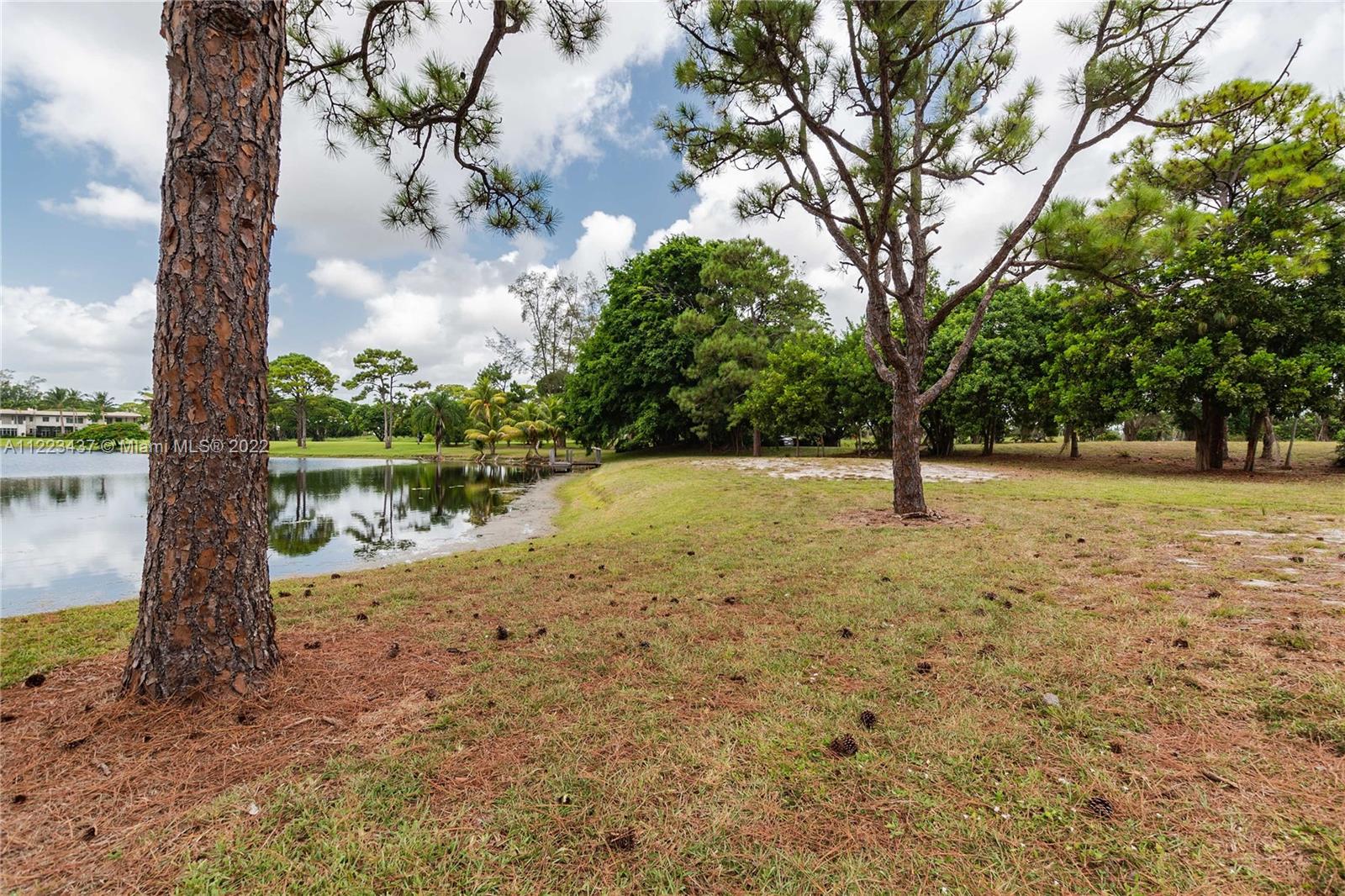 6017 Le Lac Road Boca Raton, FL 33496 - Photo 41 of 46 a view of a yard with a tree