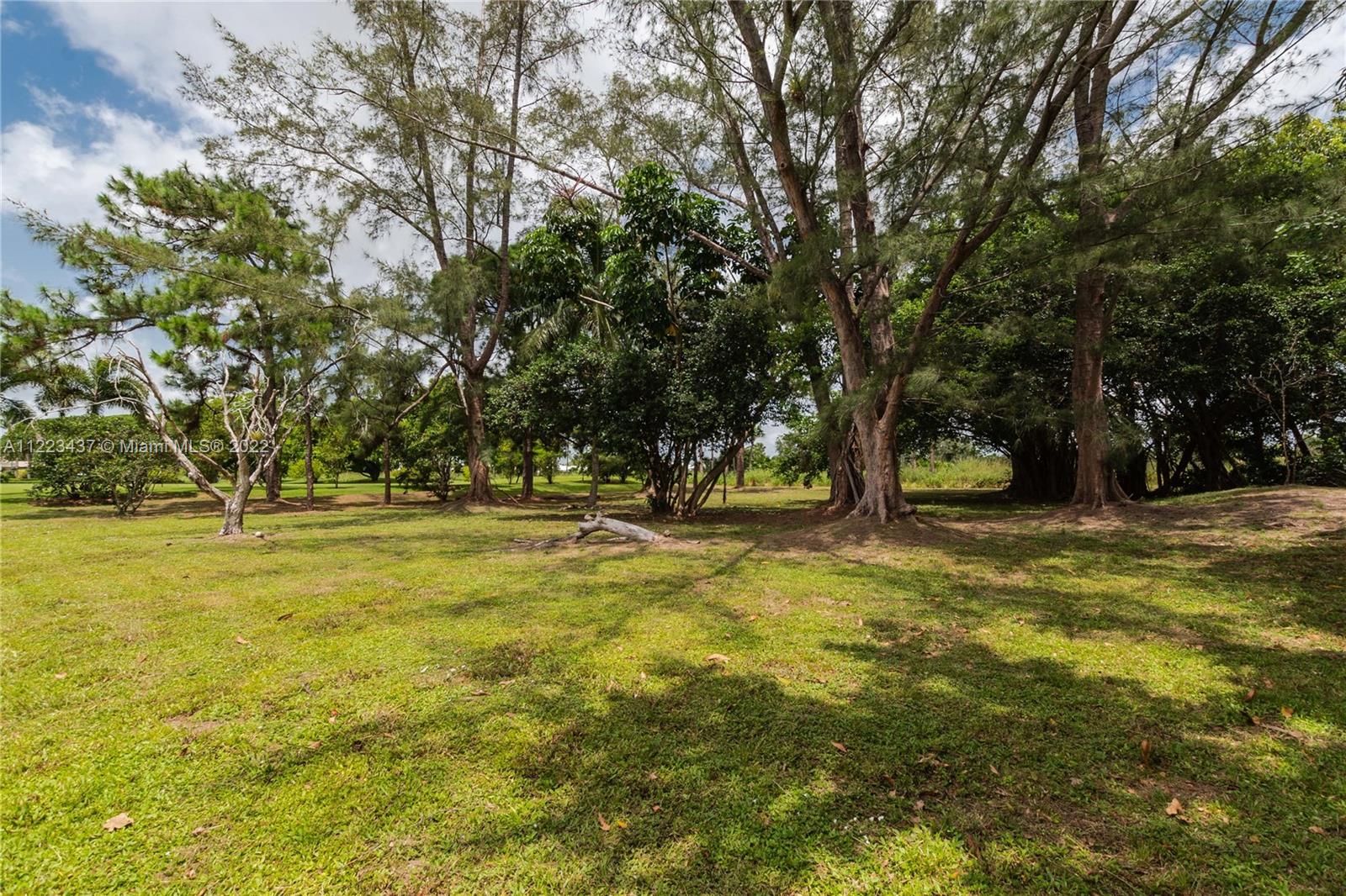 6017 Le Lac Road Boca Raton, FL 33496 - Photo 45 of 46 a view of yard with swimming pool