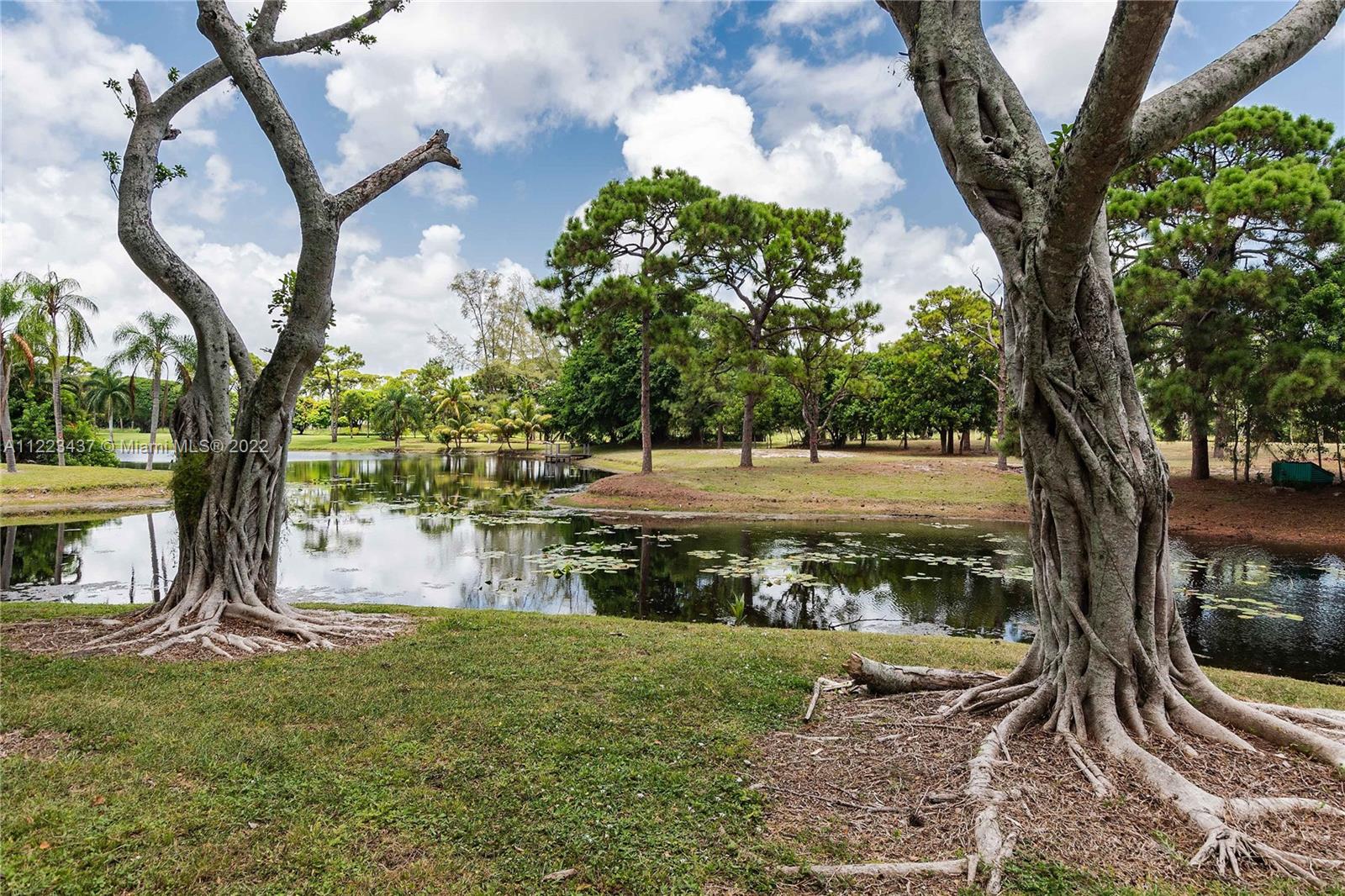 6017 Le Lac Road Boca Raton, FL 33496 - Photo 46 of 46 a view of a yard with plants and trees