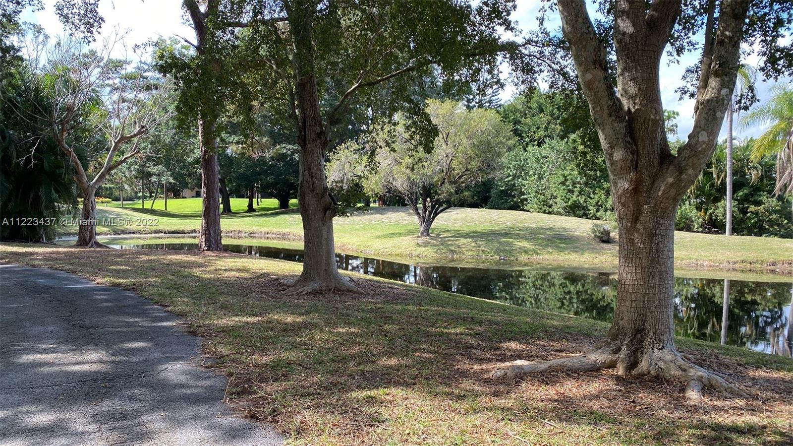 6017 Le Lac Road Boca Raton, FL 33496 - Photo 7 of 46 a view of a yard with a tree