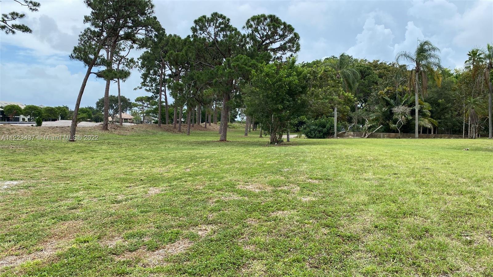 6017 Le Lac Road Boca Raton, FL 33496 - Photo 9 of 46 a view of a tree in a yard
