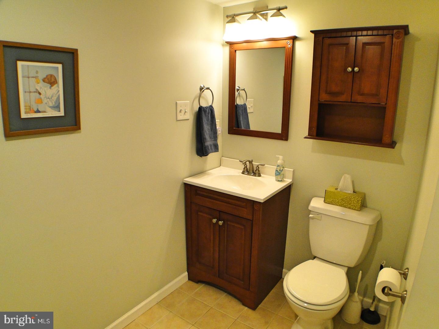 53 Fahnestock Road Malvern, PA 19355 - Photo 18 of 25 Gallery Image 18