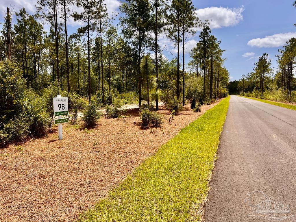 Lot 98 Turning Leaf Road Milton, FL 32571 - Photo 9 of 45 Gallery Image 9