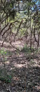 $55,000 | 2810 Newton Drive, Lago Vista, TX 78645