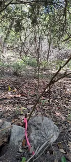 $55,000 | 2810 Newton Drive, Lago Vista, TX 78645