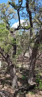 $55,000 | 2810 Newton Drive, Lago Vista, TX 78645