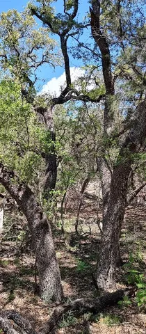 $55,000 | 2810 Newton Drive, Lago Vista, TX 78645