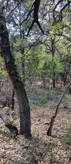 $55,000 | 2810 Newton Drive, Lago Vista, TX 78645