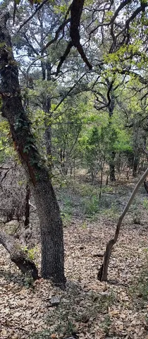 $55,000 | 2810 Newton Drive, Lago Vista, TX 78645