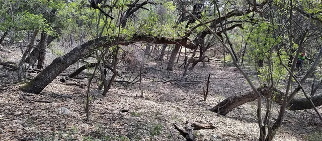 $55,000 | 2810 Newton Drive, Lago Vista, TX 78645