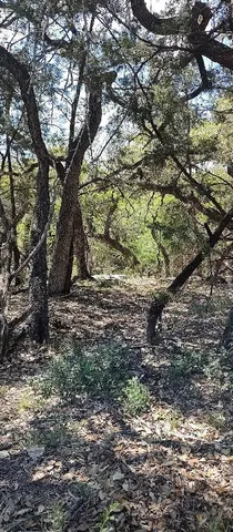 $55,000 | 2810 Newton Drive, Lago Vista, TX 78645