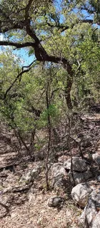 $55,000 | 2810 Newton Drive, Lago Vista, TX 78645