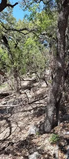 $55,000 | 2810 Newton Drive, Lago Vista, TX 78645