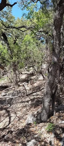 $55,000 | 2810 Newton Drive, Lago Vista, TX 78645