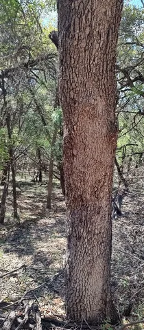 $55,000 | 2810 Newton Drive, Lago Vista, TX 78645