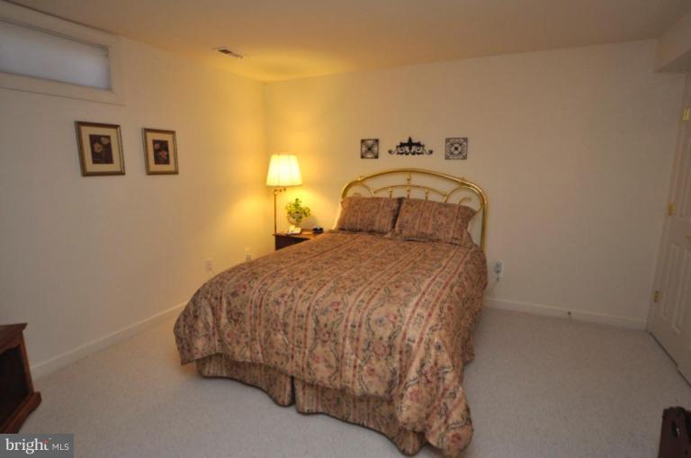47686 Rhyolite Place Sterling, VA 20165 - Photo 11 of 26 Bedroom #4