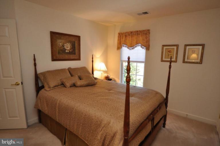 47686 Rhyolite Place Sterling, VA 20165 - Photo 3 of 26 Bedroom #3