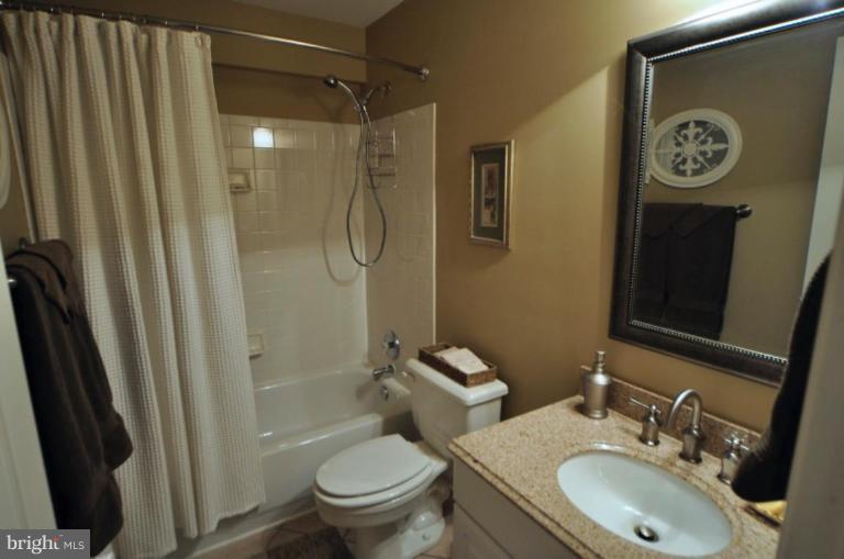 47686 Rhyolite Place Sterling, VA 20165 - Photo 21 of 26 Bath #3