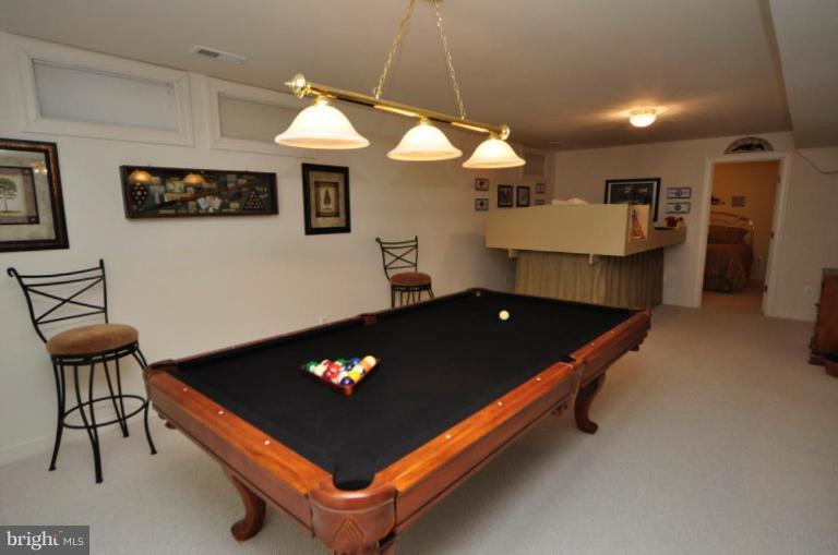 47686 Rhyolite Place Sterling, VA 20165 - Photo 22 of 26 Finished Lower Level