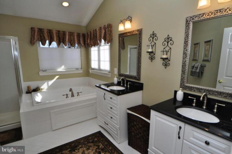 47686 Rhyolite Place Sterling, VA 20165 - Photo 24 of 26 Master Bath