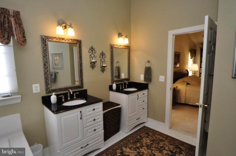 47686 Rhyolite Place Sterling, VA 20165 - Photo 25 of 26 Master Bath #2