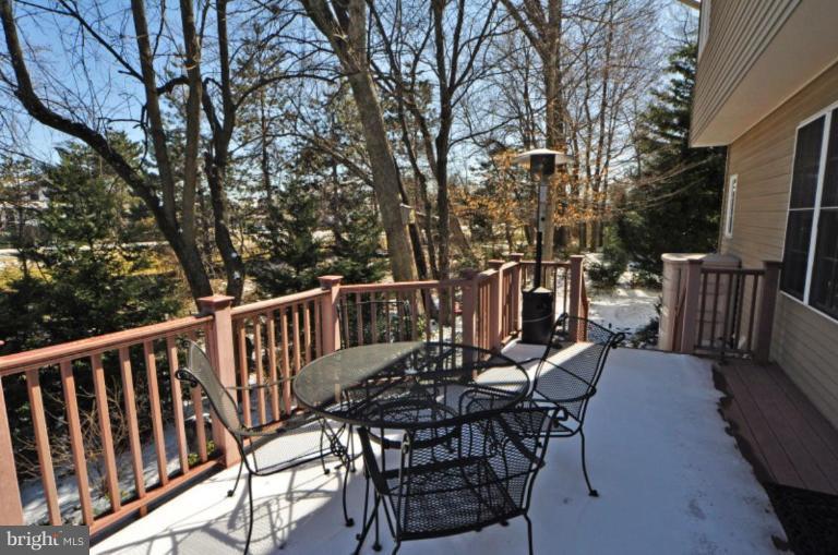 47686 Rhyolite Place Sterling, VA 20165 - Photo 4 of 26 Deck